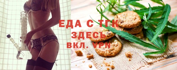 спиды Богородицк