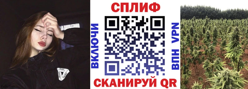 гидра как войти  как найти   Октябрьск  Бошки марихуана планчик 